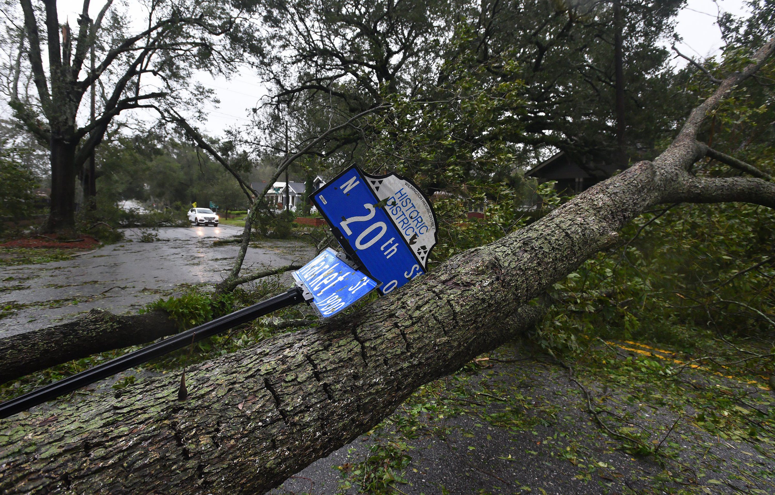 Dozens of downed trees block Market Street in the Historic District of Wilmington, N.C. as Hurricane Florence made landfall Friday Sept. 14, 2018.  (Chuck Liddy/The News & Observer/TNS)
