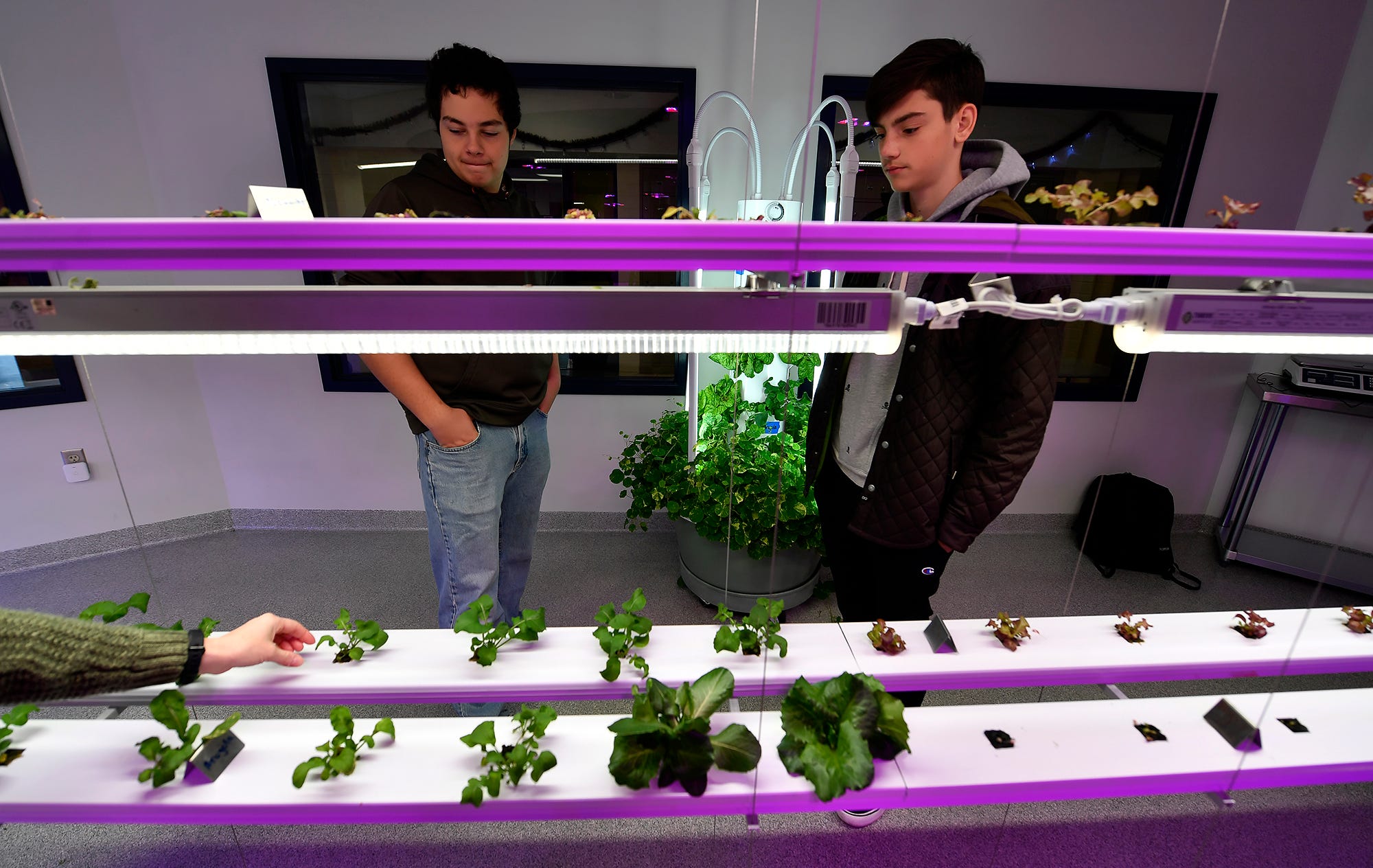 Students at West Shore School District are developing green thumbs with the West Shore Aquaponics lab. 
Tuesday, December 3, 2019
John A. Pavoncello photo