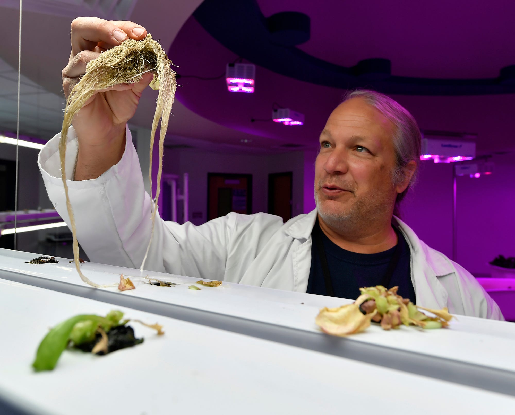 Teacher Justin Weaver shows the root growth of lettuce plants grown in the the West Shore Aquaponics lab, Tuesday, December 3, 2019
John A. Pavoncello photo
